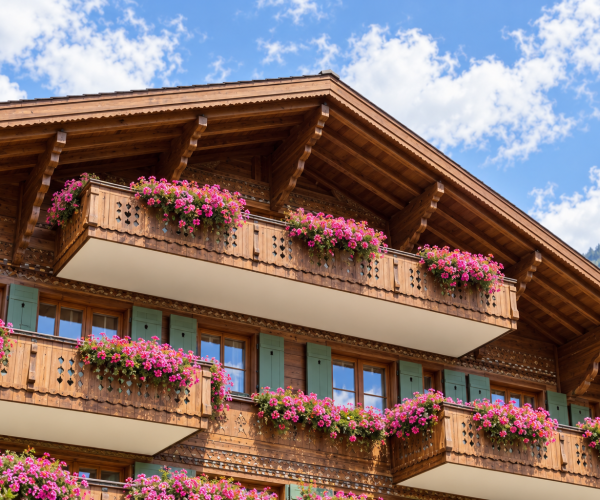 Gstaad Penthouse (9)