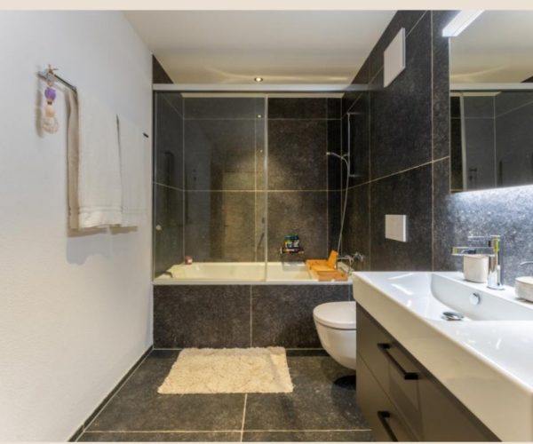 Saanen garden apartment (10)