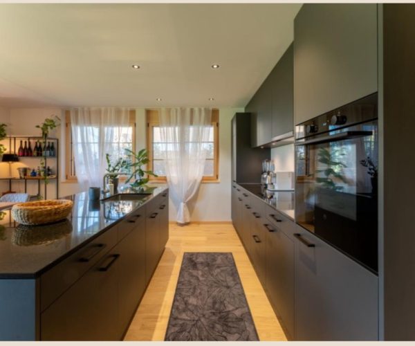 Saanen garden apartment (6)