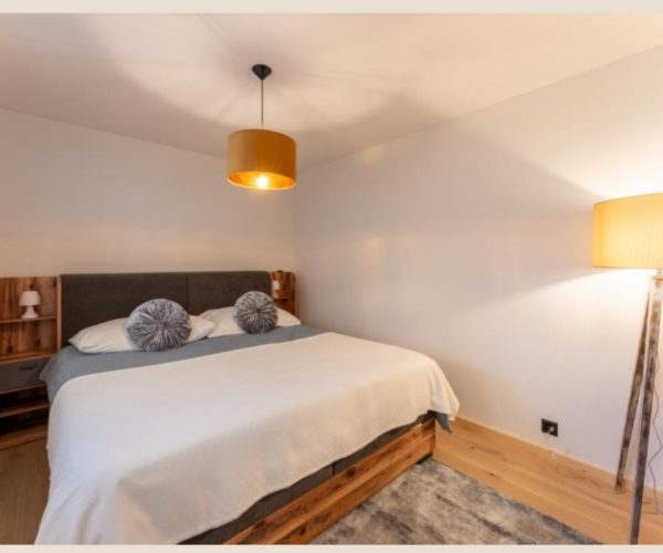 Saanen garden apartment (7)