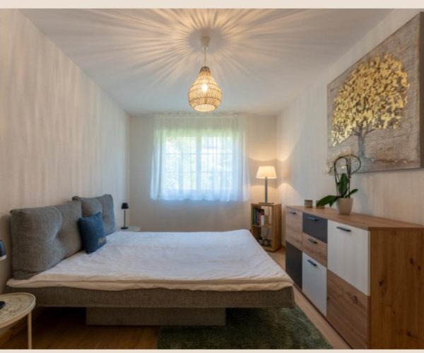 Saanen garden apartment (8)