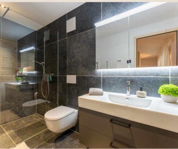Saanen garden apartment (9)